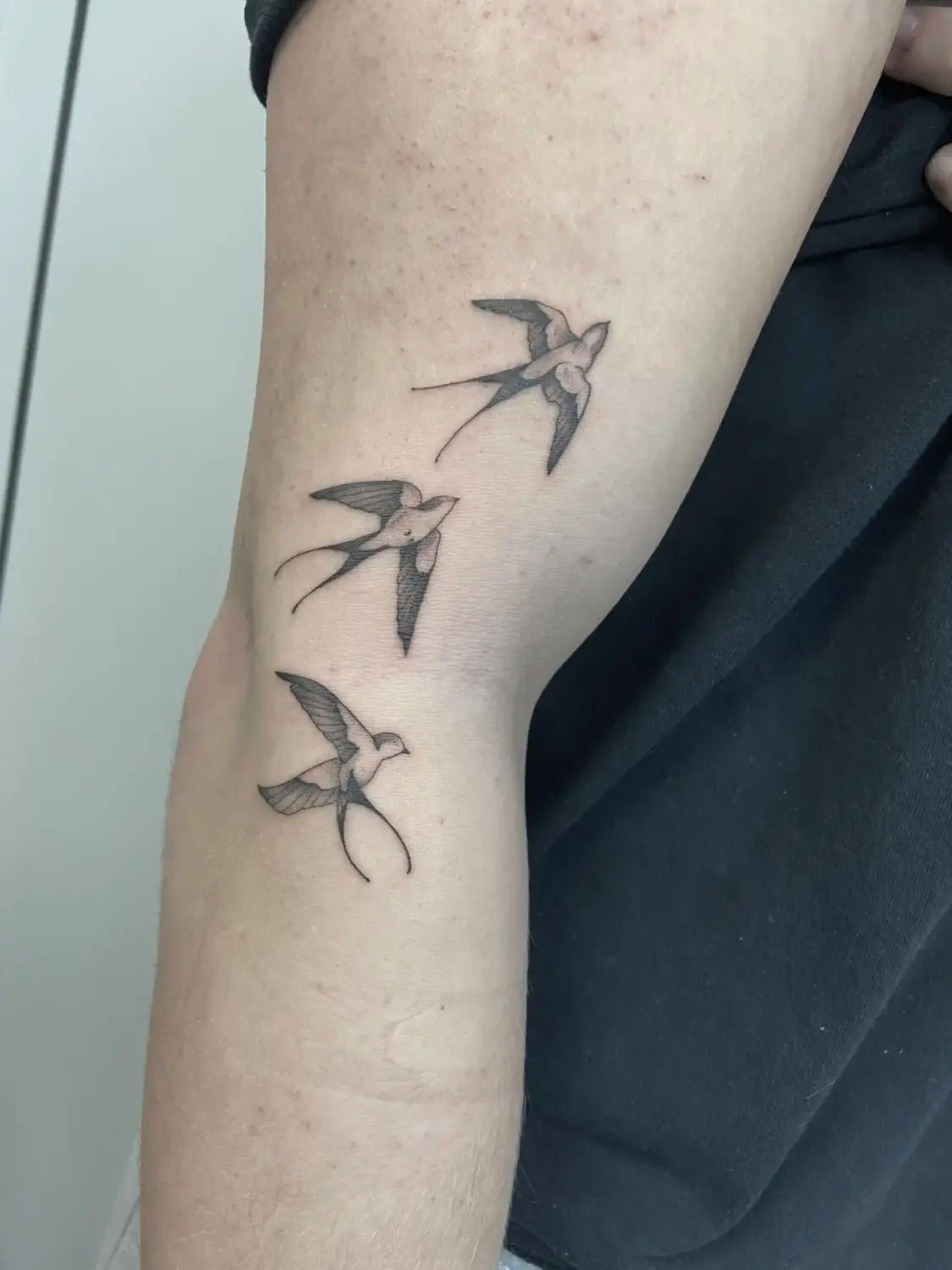 Linework · Cristina