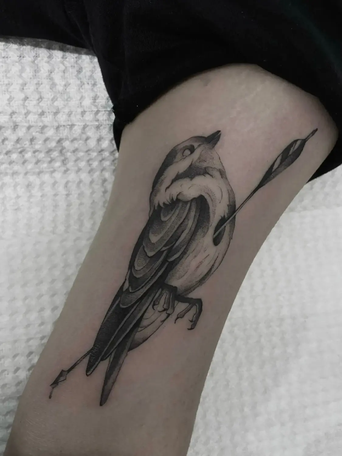 Black & Grey · Illustrativ · Cristina