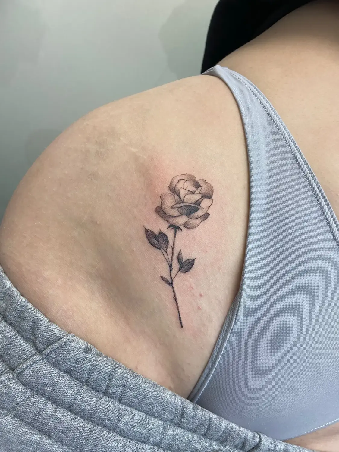 Fineline · Floral-Design · Cristina