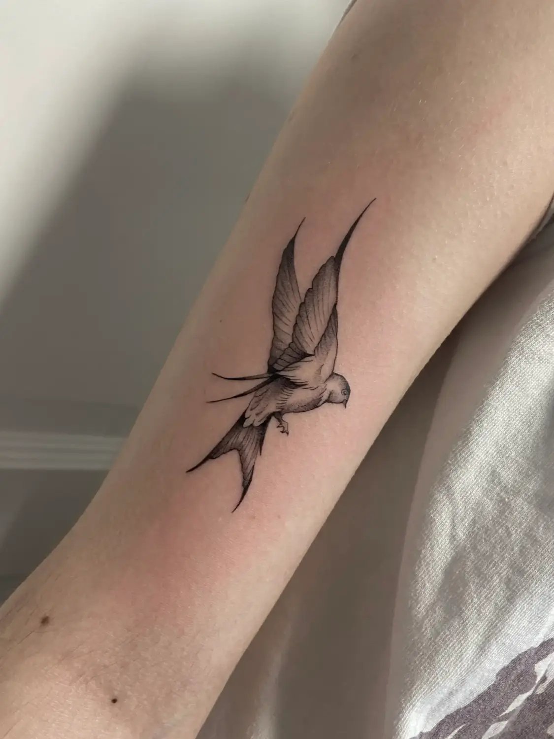Linework · Cristina