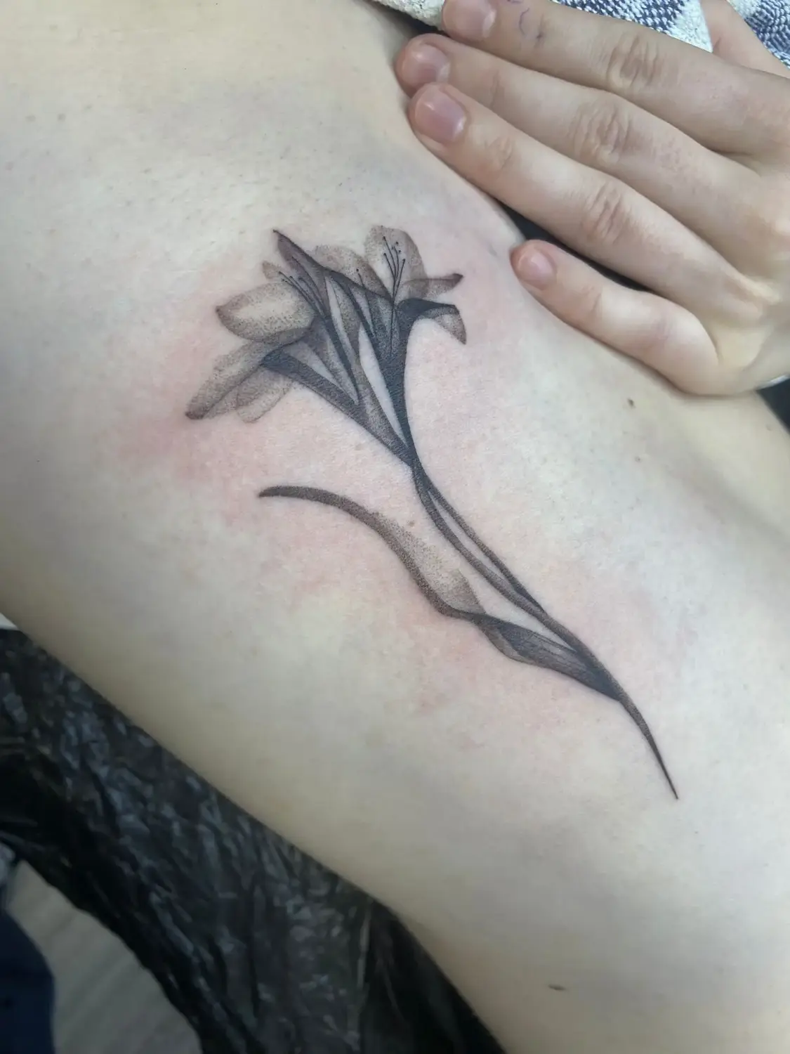 Fineline · Floral-Design · Cristina