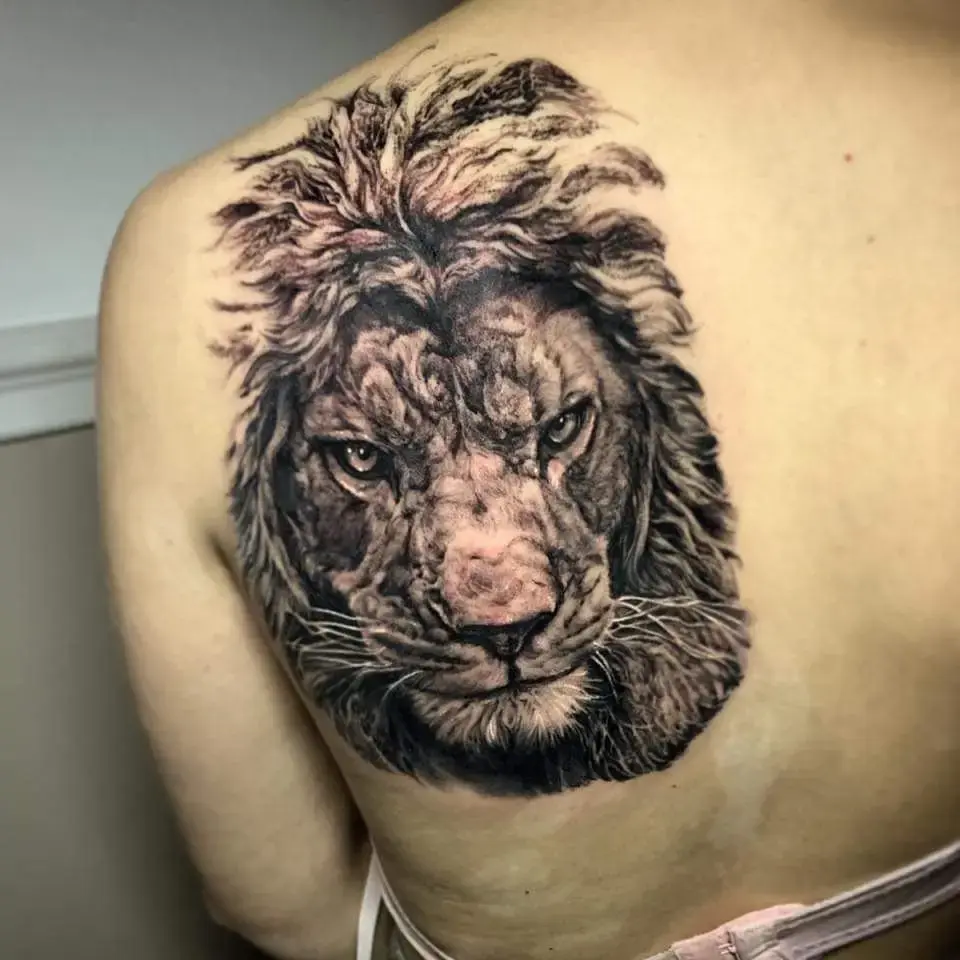 Black & Grey · Tier-Portraits · Stefan