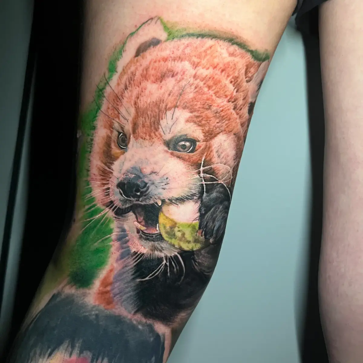 Colorwork · Tier-Portraits · Stefan