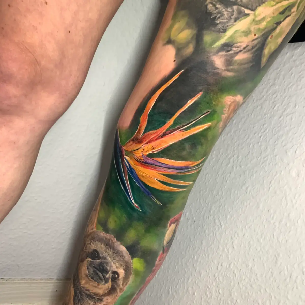 Colorwork · Stefan