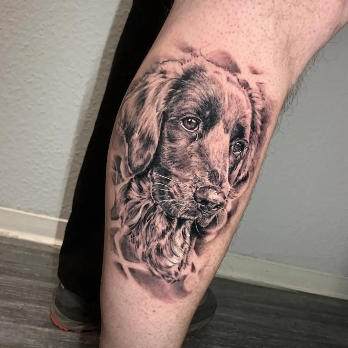 Black & Grey · Tier-Portraits · Stefan
